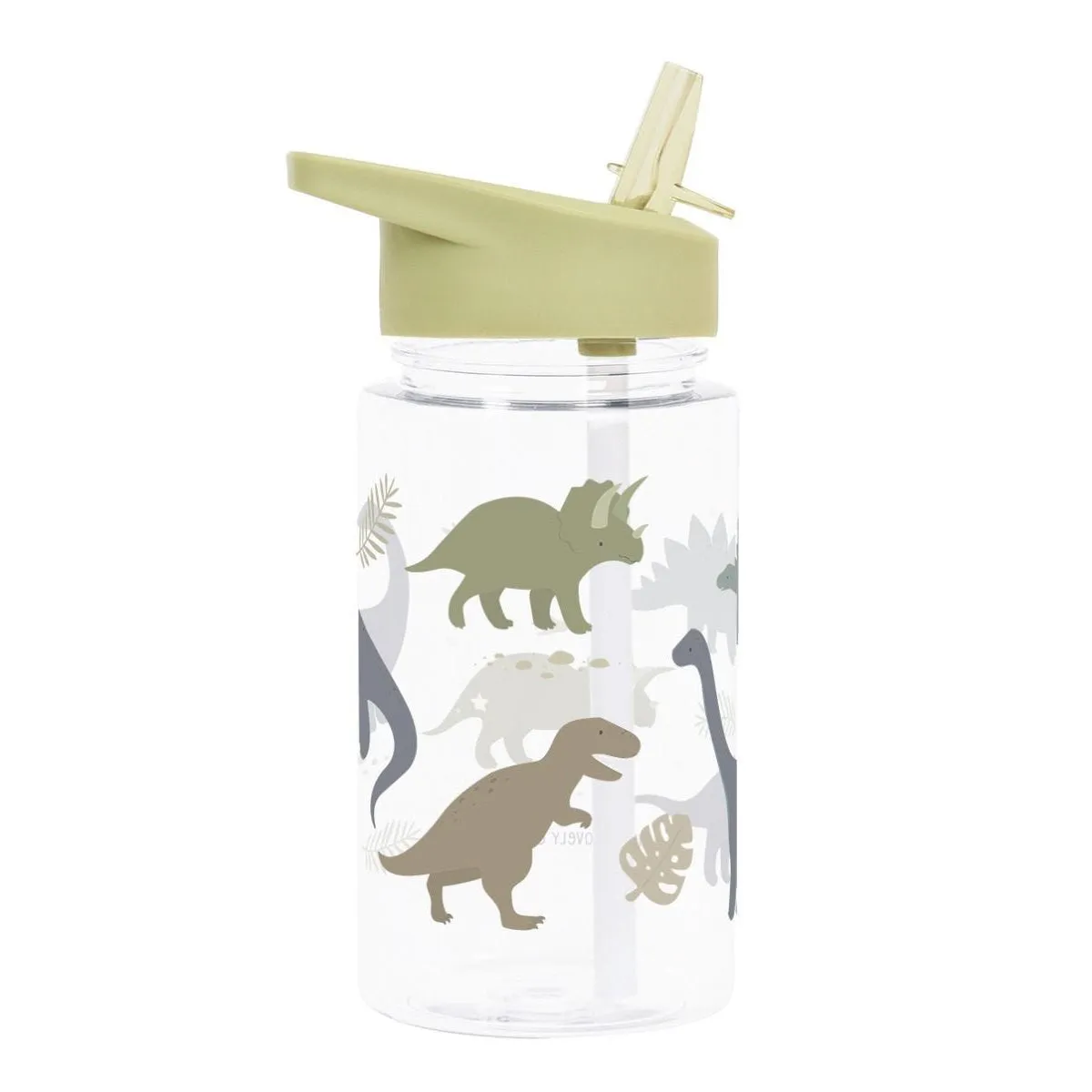 A Little Lovely Company Drink Bottle: Dinosaurs