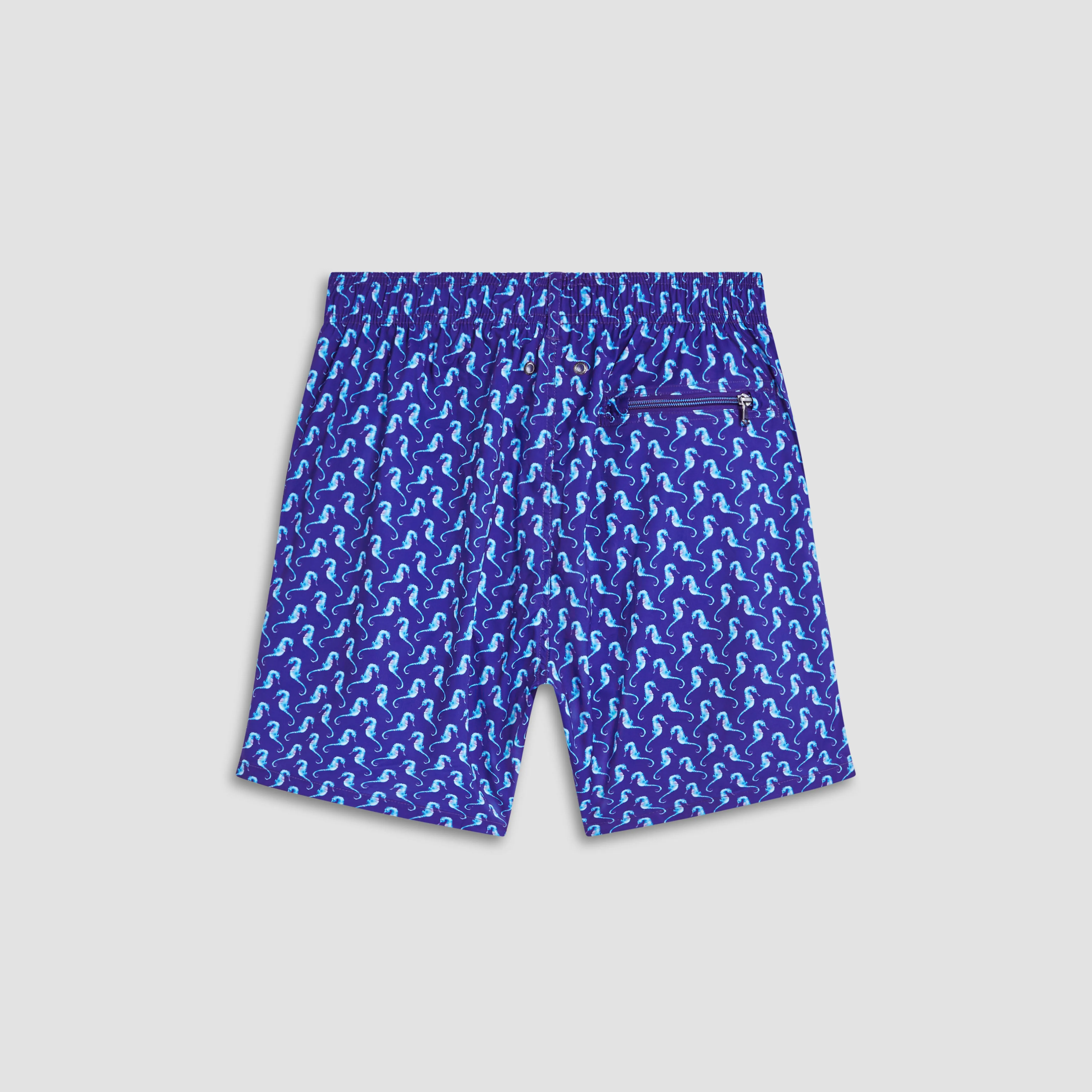 Adrian Sea Horse Swim Trunks