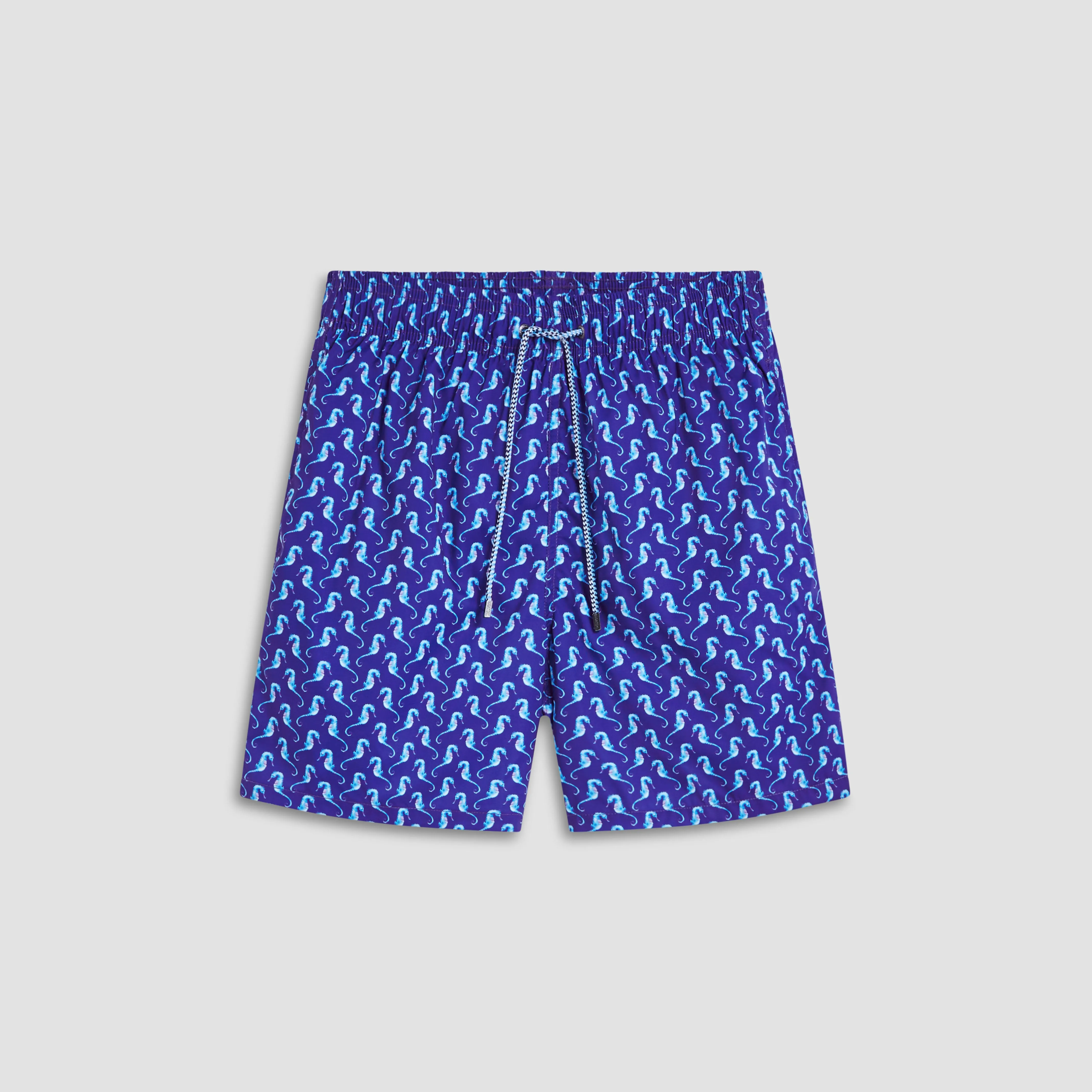 Adrian Sea Horse Swim Trunks