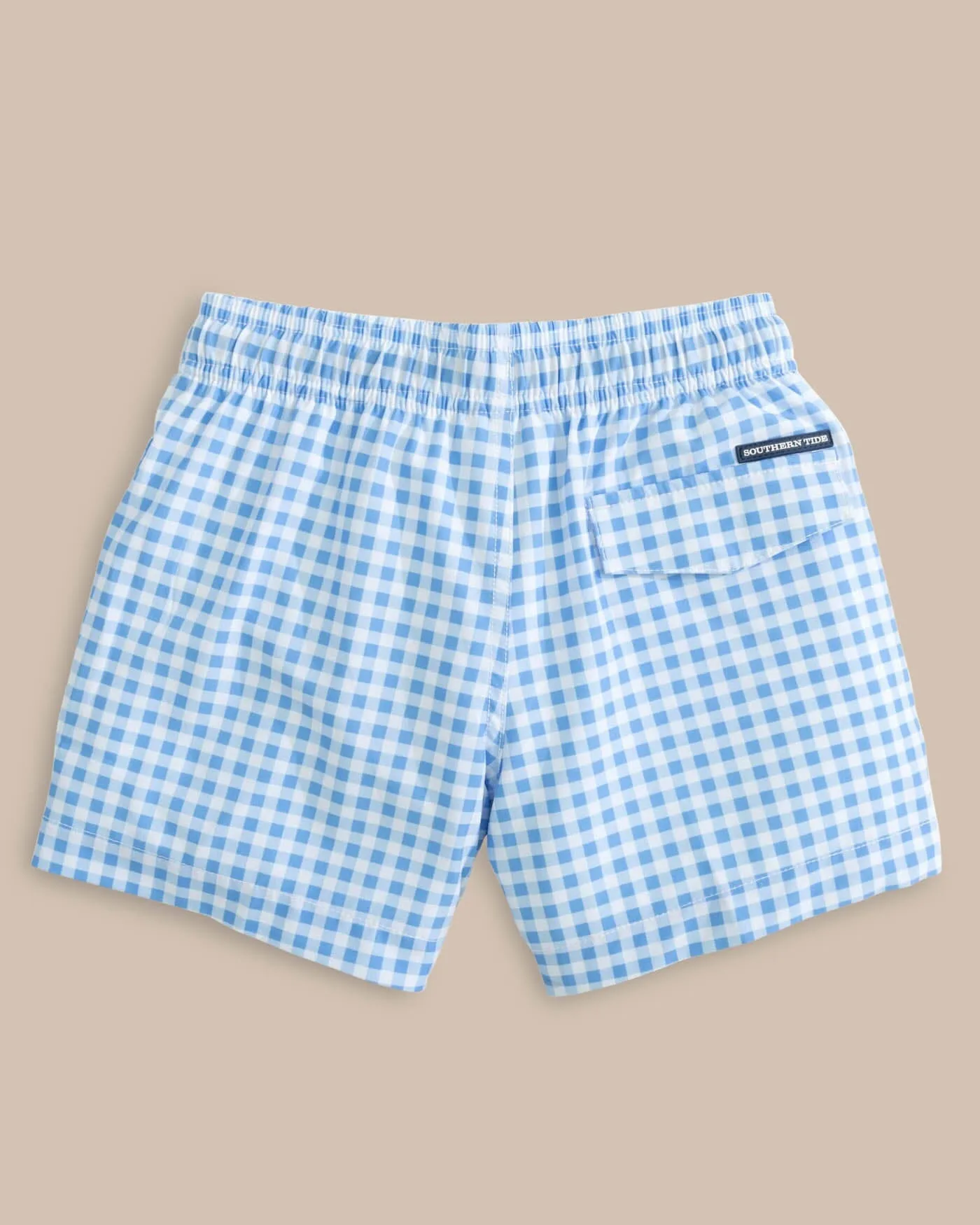 Boys Baldwin Gingham Printed Swim Trunk