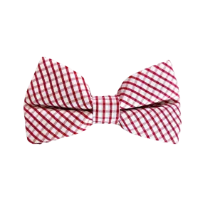 Boys Bowentie- River Street Red